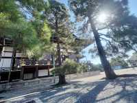 A Royal Escape: Discovering the Tranquil Kyoto Imperial Palace