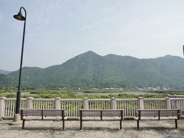 Beyond the Village: A Scenic Escape Around Tai O