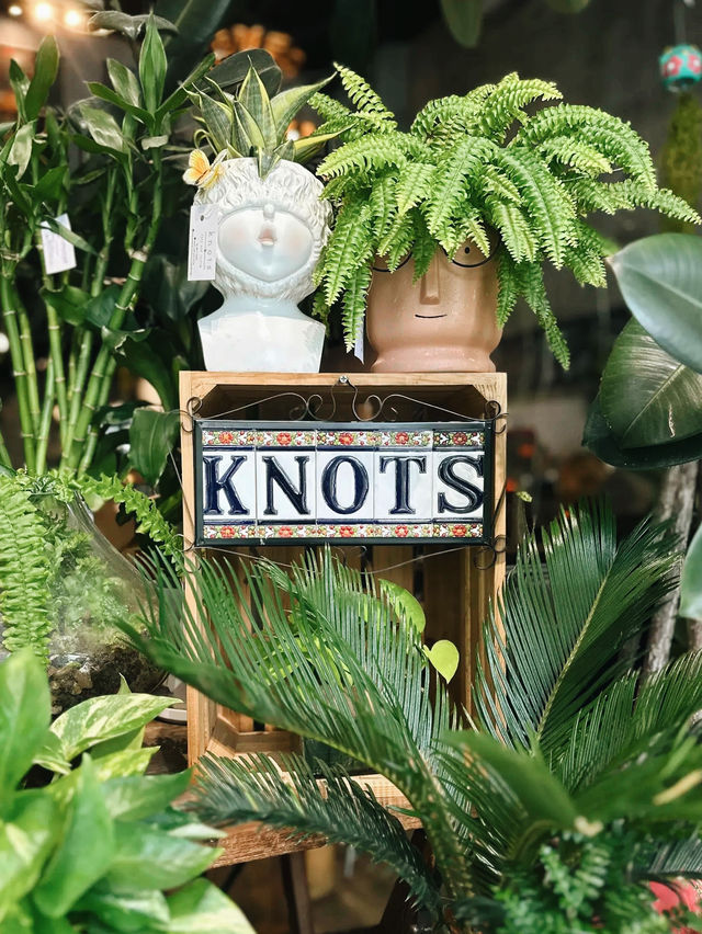 Knots Cafe & Living