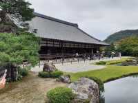 京都天龍寺參訪體驗：嵐山秋日禪境，夢幻曹源池庭園
