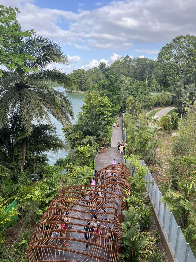 Nature walk with the Wildlife at Mandai