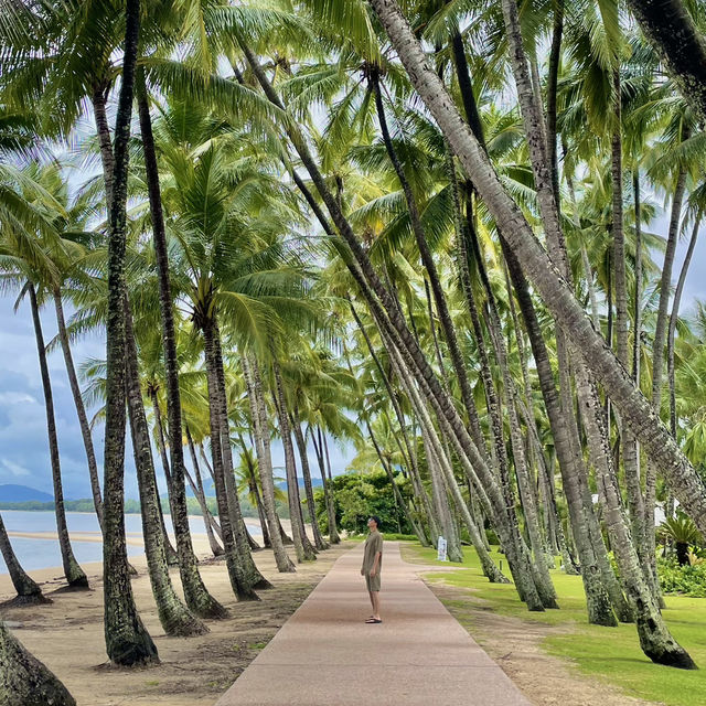 【オーストラリア】静かな楽園！癒しのビーチリゾート・パームコーブ 🏝️🌿