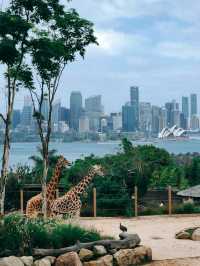 Discovering the highlights of Sydney: The Opera House and Taronga Zoo