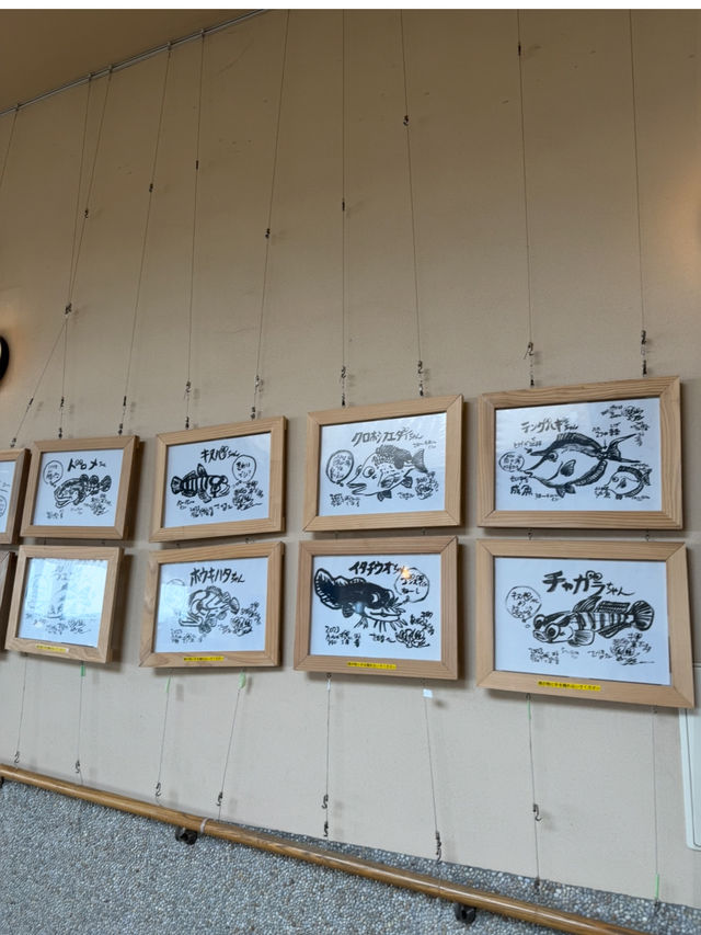 展望台からは館山湾が一望できる千葉の絶景道の駅「渚の駅 たてやま」🫣💞