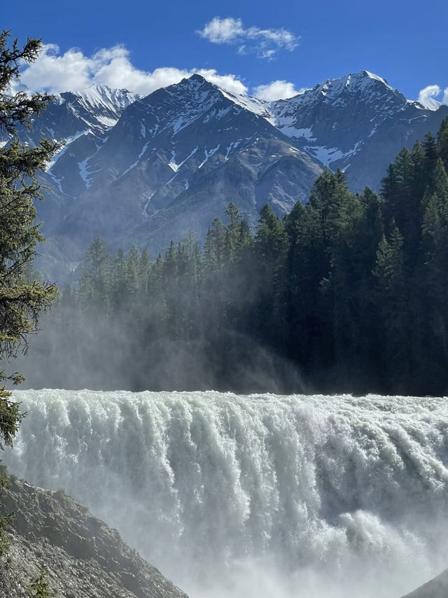 Solitude and Splendor – My Solo Journey Through Yoho National Park