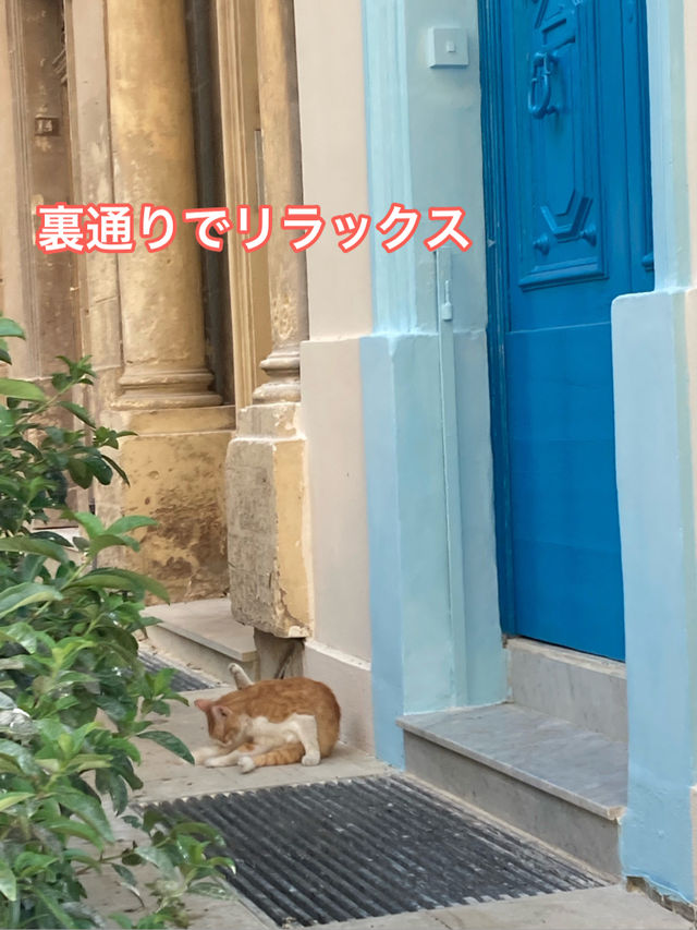 🇲🇹マルタ共和国　ねこコレクション2024.8