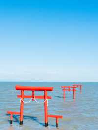 【佐賀】ここ知ってますか？海に浮かぶ幻想的な海中鳥居⛩🌊 