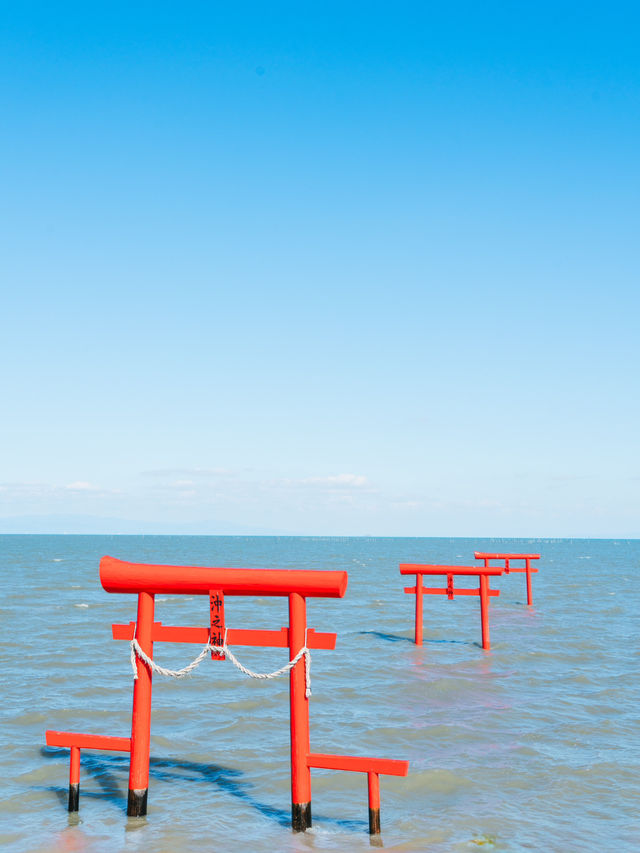 【佐賀】ここ知ってますか？海に浮かぶ幻想的な海中鳥居⛩🌊 