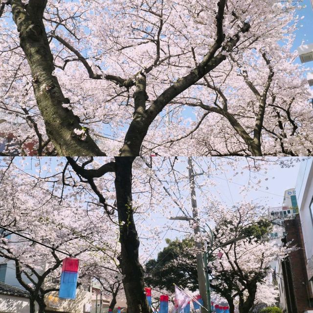 南韓濟州