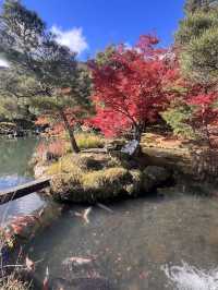14th Century Garden in the Tenryu-ji Temple in Arashiyama