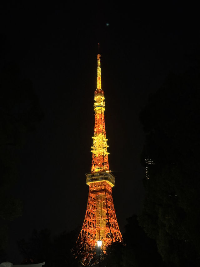 東京5日4夜行程