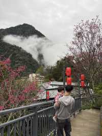 與你一起相遇於泰安第一湯^_^—「湯悅溫泉♨️會館」