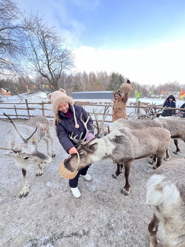Yabuli 1day trip