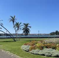 雪梨市中心皇家植物園（Royal Botanic Garden Sydney）