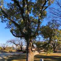 Fukuoka Castle Ruins