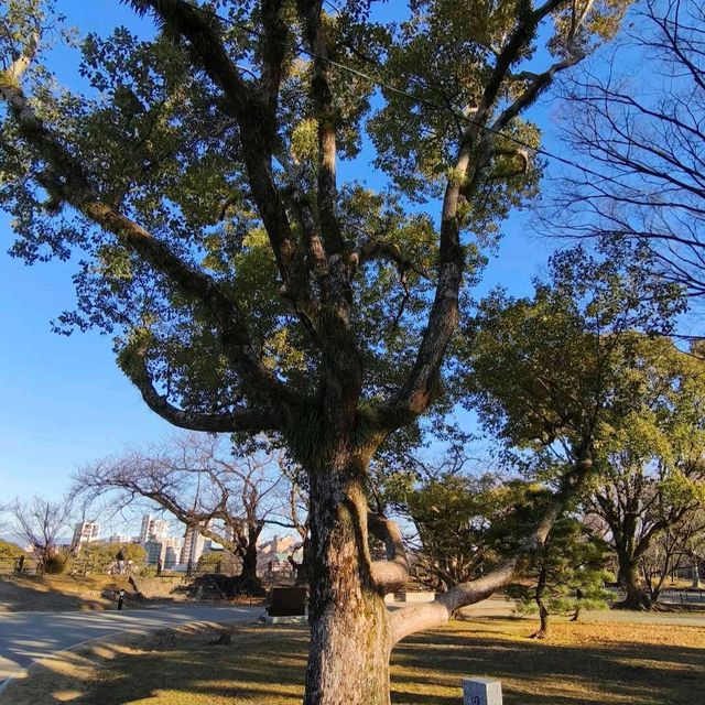 Fukuoka Castle Ruins