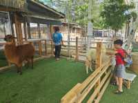 Batam Trip