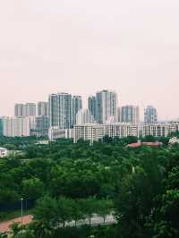 A Hearty Lunch at Salam Noodles & A Cyberjaya View 🍜🏙️