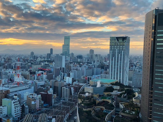 Swissotel Nankai Osaka