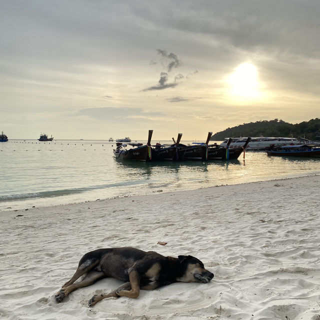 🇹🇭泰國麗貝島旅遊