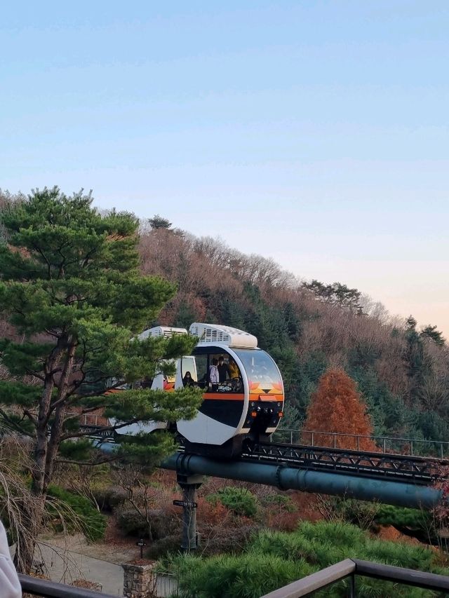 가을이 되면 이숲은 꼭 가보시길🍂🍁