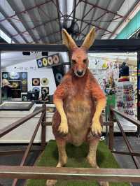 A Day in Fremantle: Where History Meets the Sea