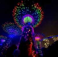 【新加坡旅遊】Supertree Grove🌳｜白天看感覺沒甚麼 晚上點燈卻超漂亮