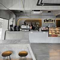 Shelter Specialty Coffee 🍵☕️