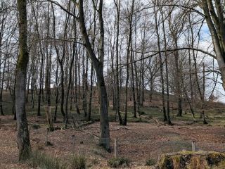 Veluwezoom National Park