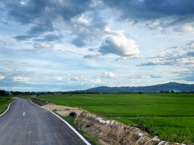 ชมวิวทุ่งนาเด่นชัย 🌾🍚