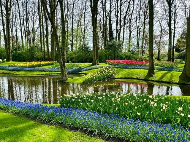 "Keukenhof: The World's Most Beautiful Spring Garden"