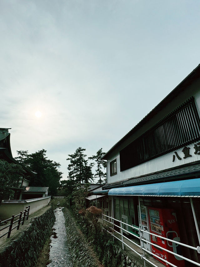 出雲大社站前：神話與現代的交匯點🚉⛩️