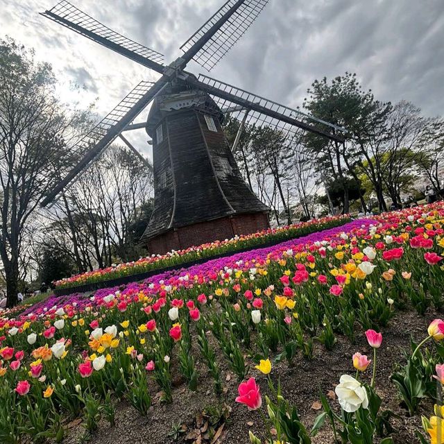 Meijo Park (名城公園)