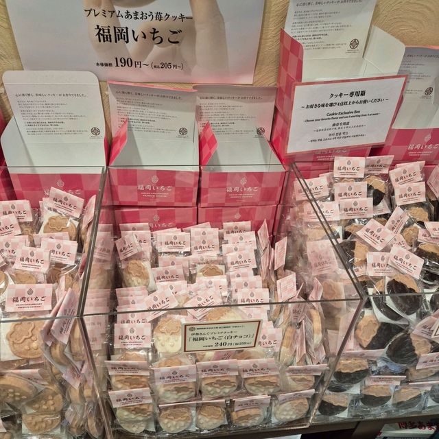 처음 가보는 후쿠오카의 무지성 사진