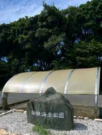 海がすぐ側の気持ちのよい公園