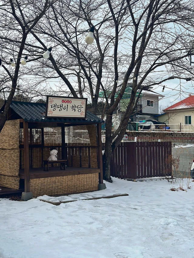 곧 벚꽃으로 물들 특별한 카페 알려드릴게요🌸+국내 유일 메뉴