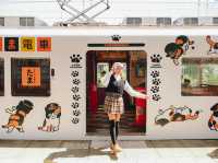 นั่งรถไฟน้องแมว เที่ยวเมือง Wakayama Kansai 