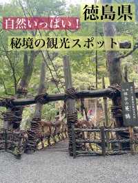 🌿 徳島の魅力的な観光スポットまとめ – 自然と歴史の息吹を感じる場所