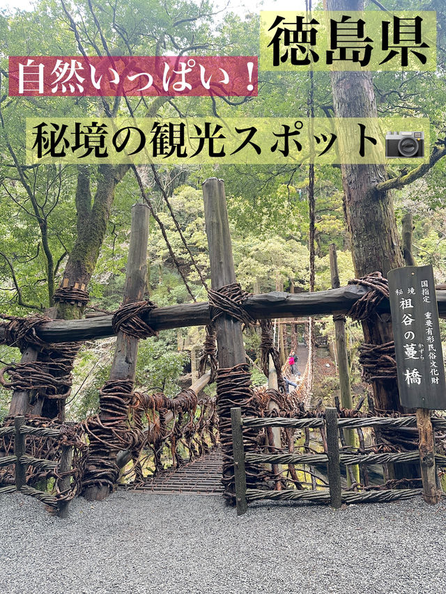 🌿 徳島の魅力的な観光スポットまとめ – 自然と歴史の息吹を感じる場所