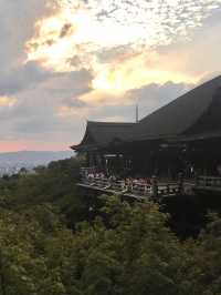 🏯이른해질녘에 가면 더이쁜 교토 필수코스 기요미즈데라