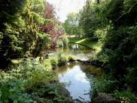 Nature's Oasis - Sefton Park in Liverpool