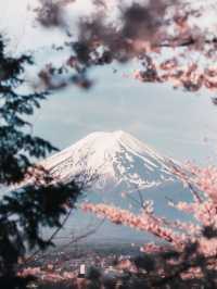 避開人潮，解鎖富士山櫻花季的隱藏玩法！