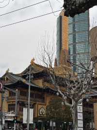 Citywalk & Bike Ride: Discovering Shanghai’s Best Streets 🚴