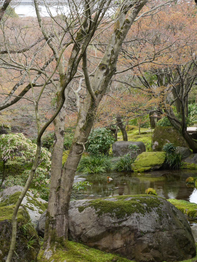 【兵庫×春旅】  