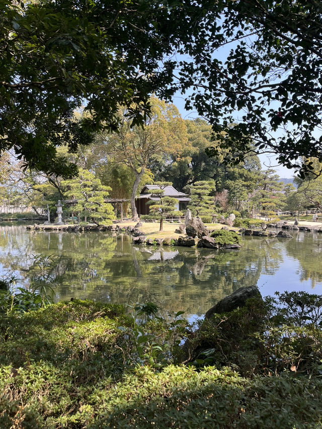 【愛媛】天敖園