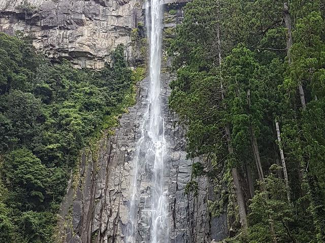 Nachi Fall น้ำตกสวยงามแห่ง Wakayama