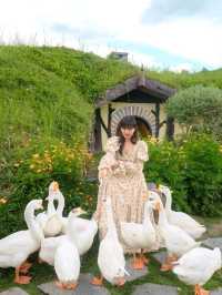 เที่ยวสวนผึ้งราชบุรี ที่ Alpacahill