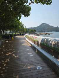 Stanley Promenade: A Scenic Escape by the Sea