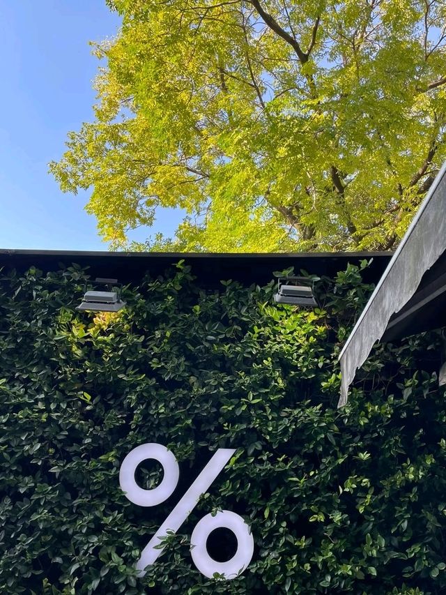 %Arabica 𝗖𝗵𝗶𝗹𝗹𝗶𝗻𝗴 𝘄𝗶𝘁𝗵 𝗦𝗵𝗮𝗻𝗴𝗵𝗮𝗶
