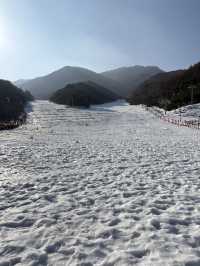 南韓 德裕山國家公園